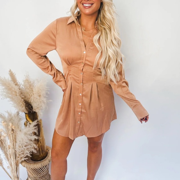 Satin Shirt Dress - Picture 1 of 3